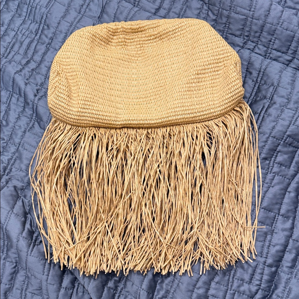 Zara Tan Fringe Clutch